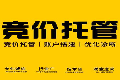 网络推广与竞价优化成功案例